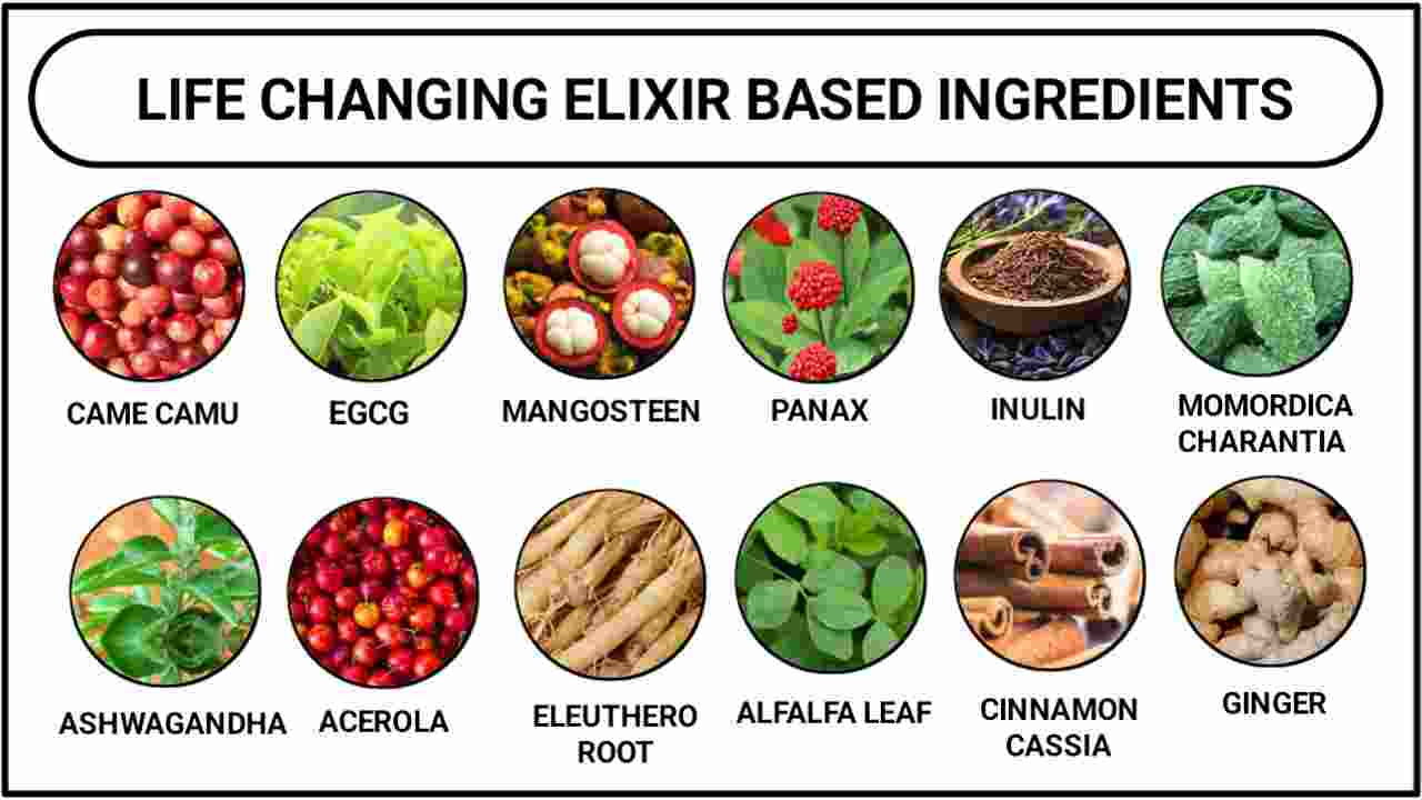 Nagano tonic ingredients Life changinf elixir