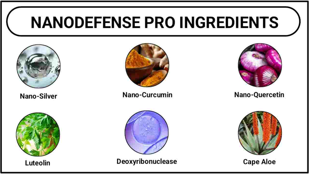 NanoDefense Pro Ingredients