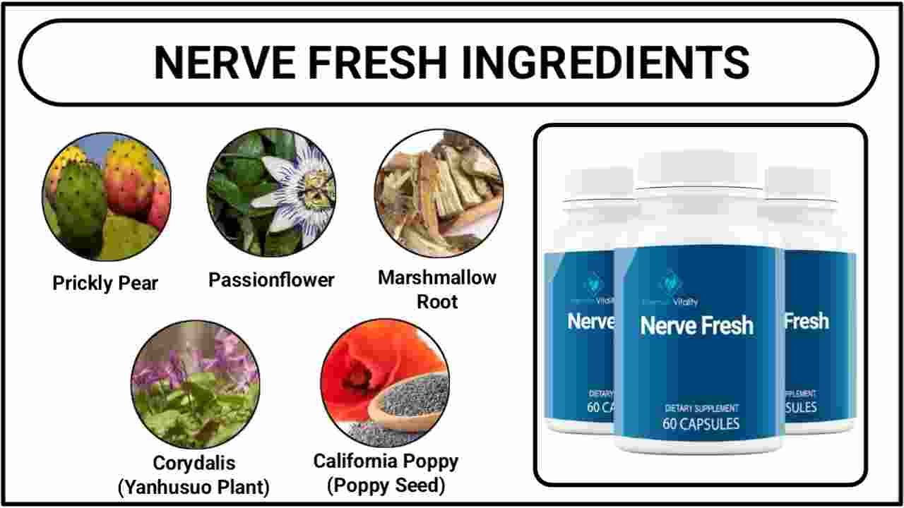 Nerve Fresh Ingredients