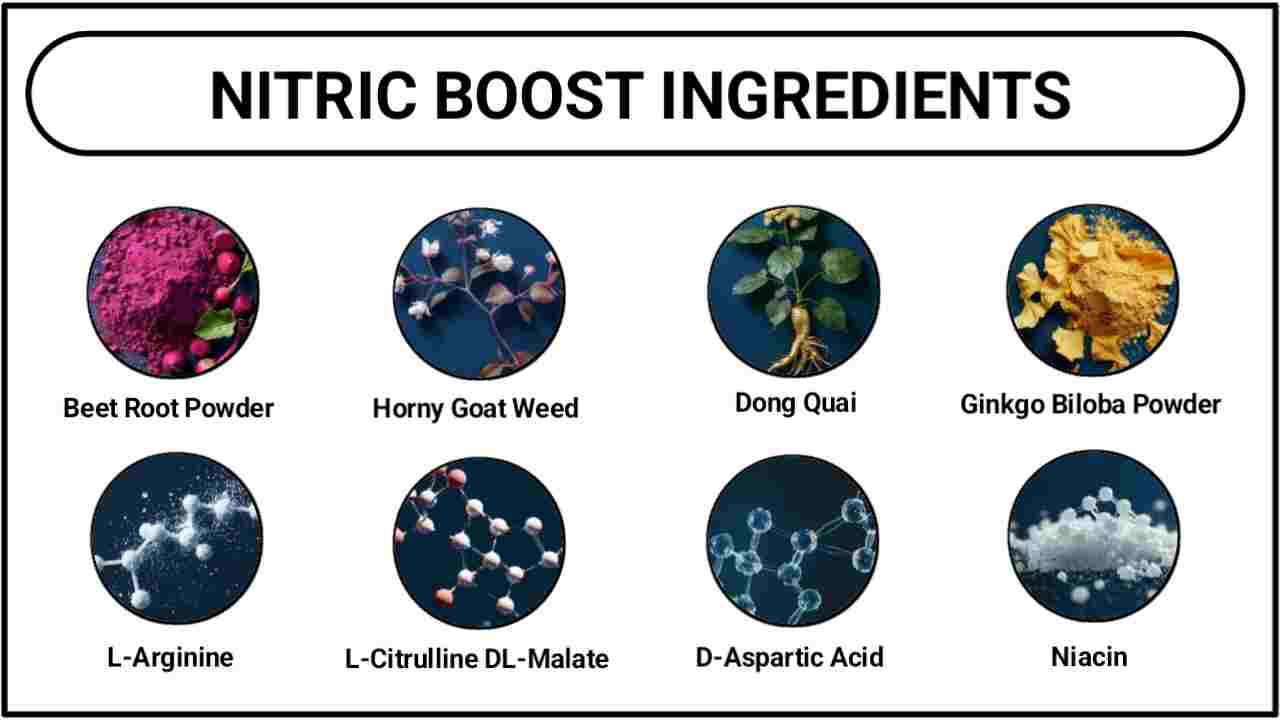 Nitric Boost Ingredients