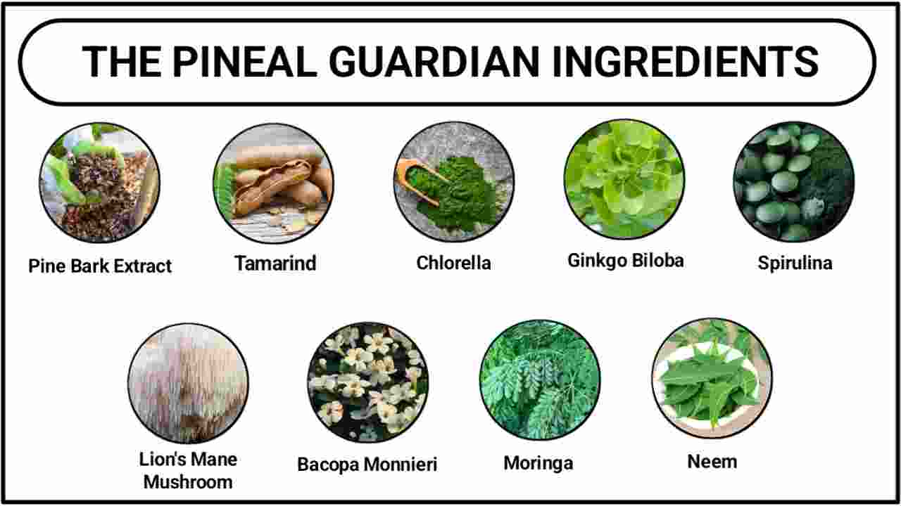 The Pineal Guardian Ingredients