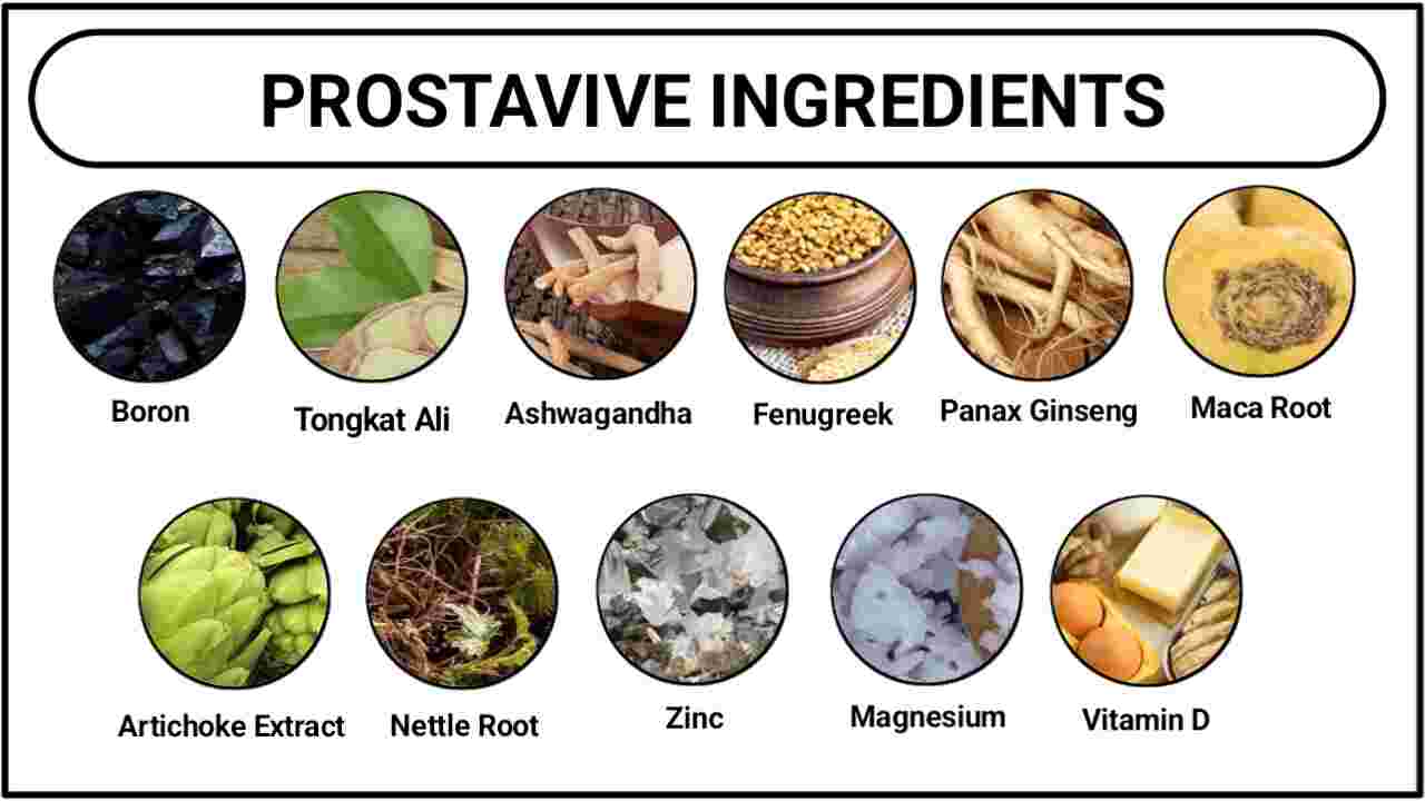 ProstaVive Ingredients