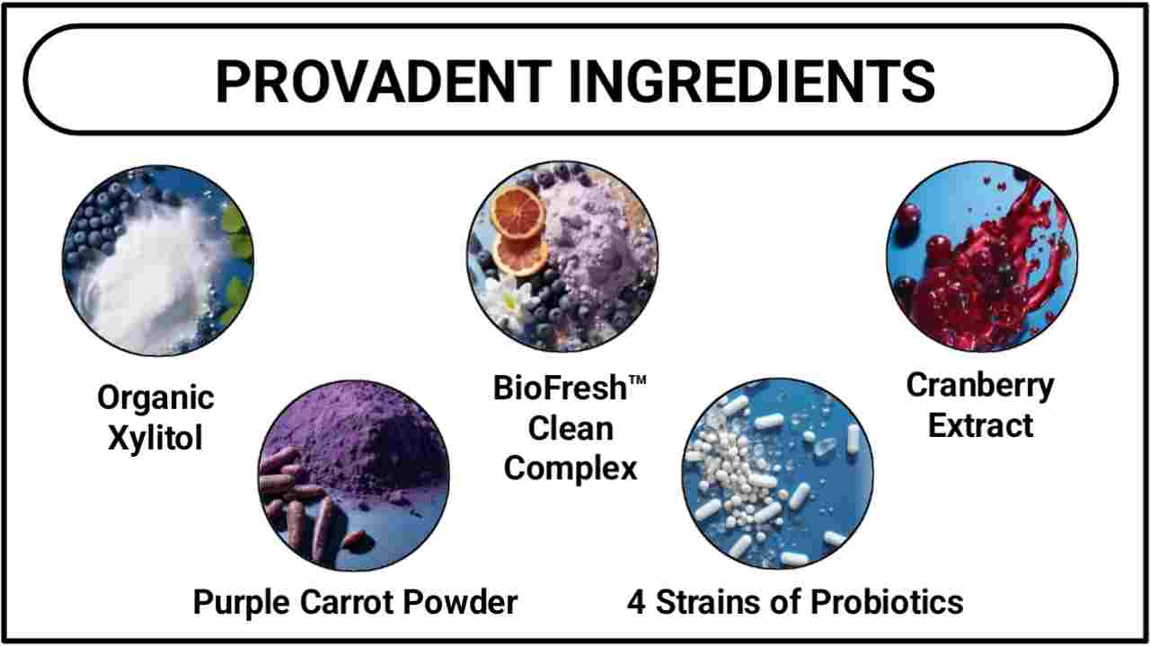 ProvaDent Ingredients