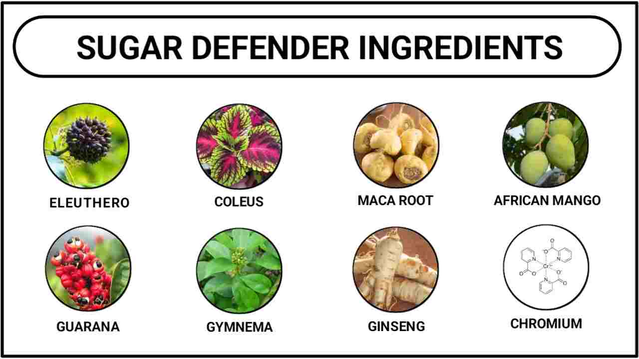 Sugar Defender Ingredients